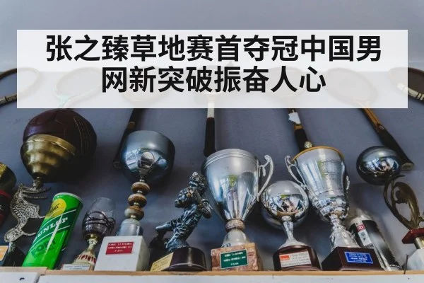 张之臻草地赛首夺冠中国男网新突破振奋人心