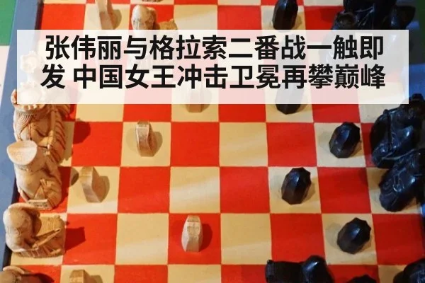 张伟丽与格拉索二番战一触即发 中国女王冲击卫冕再攀巅峰
